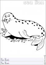 coloriage-otarie-1